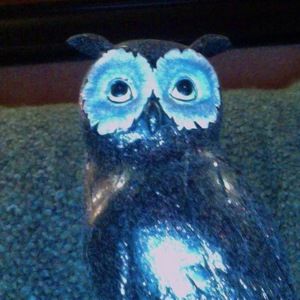 Meet your Posher, Myla